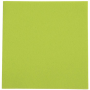 GASTRO-LINE Airlaid lautasliina avocadon vihreä 40x40cm ¼-taitto 50kpl/pkt | Kertakäyttöastiat