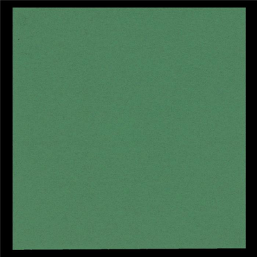 GASTRO-LINE lautasliina 40x40cm vihreä 100kpl/pkt