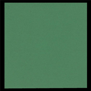 GASTRO-LINE lautasliina 40x40cm vihreä 100kpl/pkt | Kertakäyttöastiat