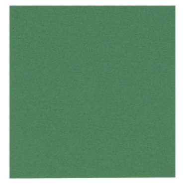 GASTRO-LINE kahviliina vihreä 24x24cm ¼-taitto 100kpl/pkt | Kertakäyttöastiat