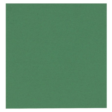 GASTRO-LINE lautasliina 24X24cm vihreä 100kpl/pkt | Kertakäyttöastiat