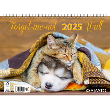 Forget-me-not-wall  2025