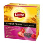 LIPTON Forest Fruit Pyramid musta tee 20pss/pkt | Kuumajuoma