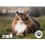 Kissat 2026 | Seinäkalenterit
