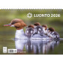 Luonto 2026 | Seinäkalenterit