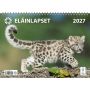 Eläinlapset 2027 | Seinäkalenterit