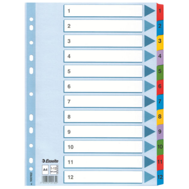 Esselte Mylar 1-12 muovikielihakemisto kartonki A4 värilliset muovikielekkeet (10srj ltk)