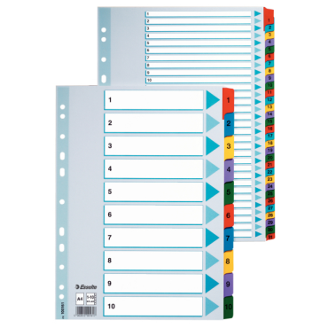 Esselte Mylar 1-20 muovikielihakemisto kartonki A4 värilliset muovikielekkeet (10srj ltk)